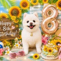 いちごちゃん8歳