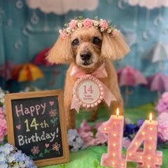 あいちゃん14歳