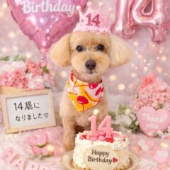 すずちゃん14歳