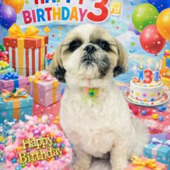 ブン太君3歳