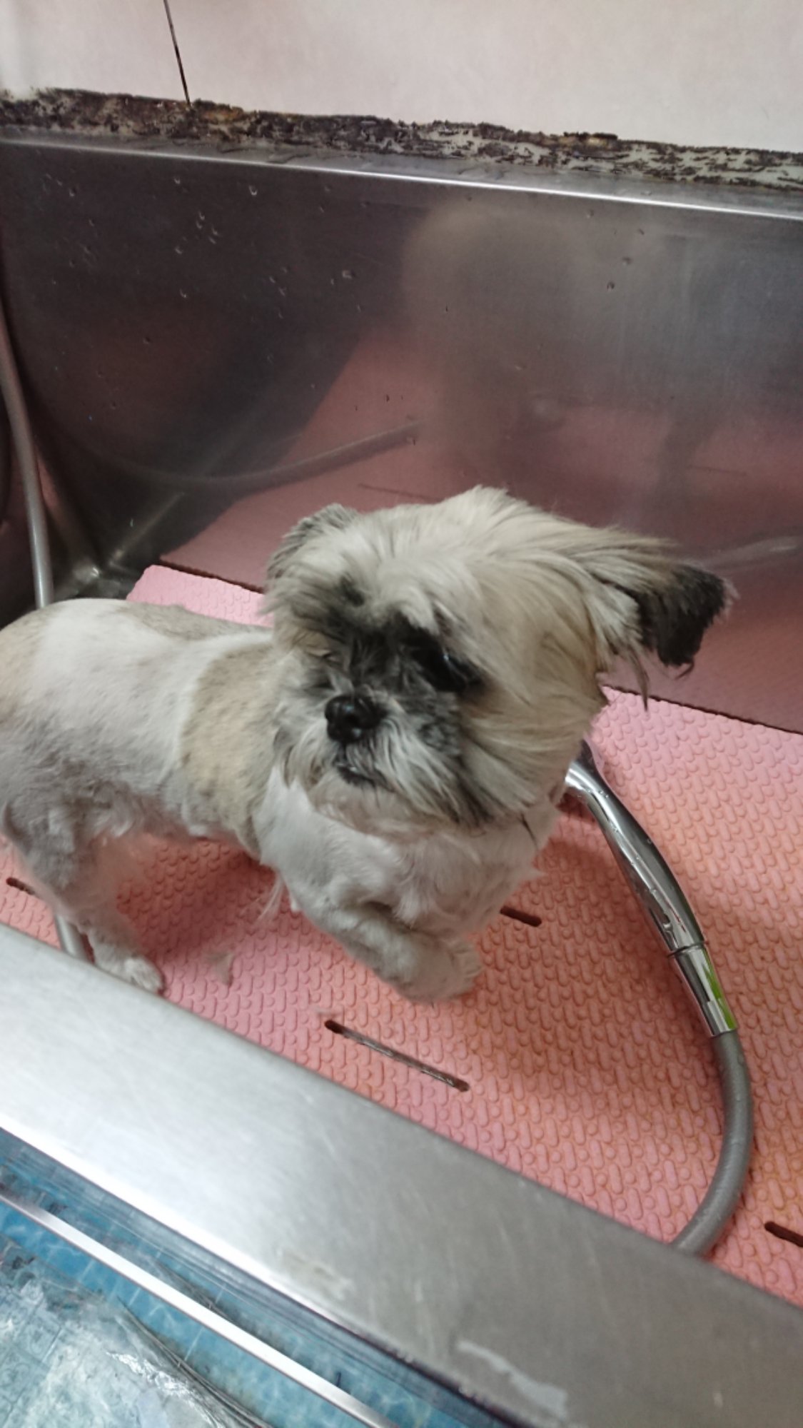 DSCPDC_0000_BURST20251119113446478.JPG image