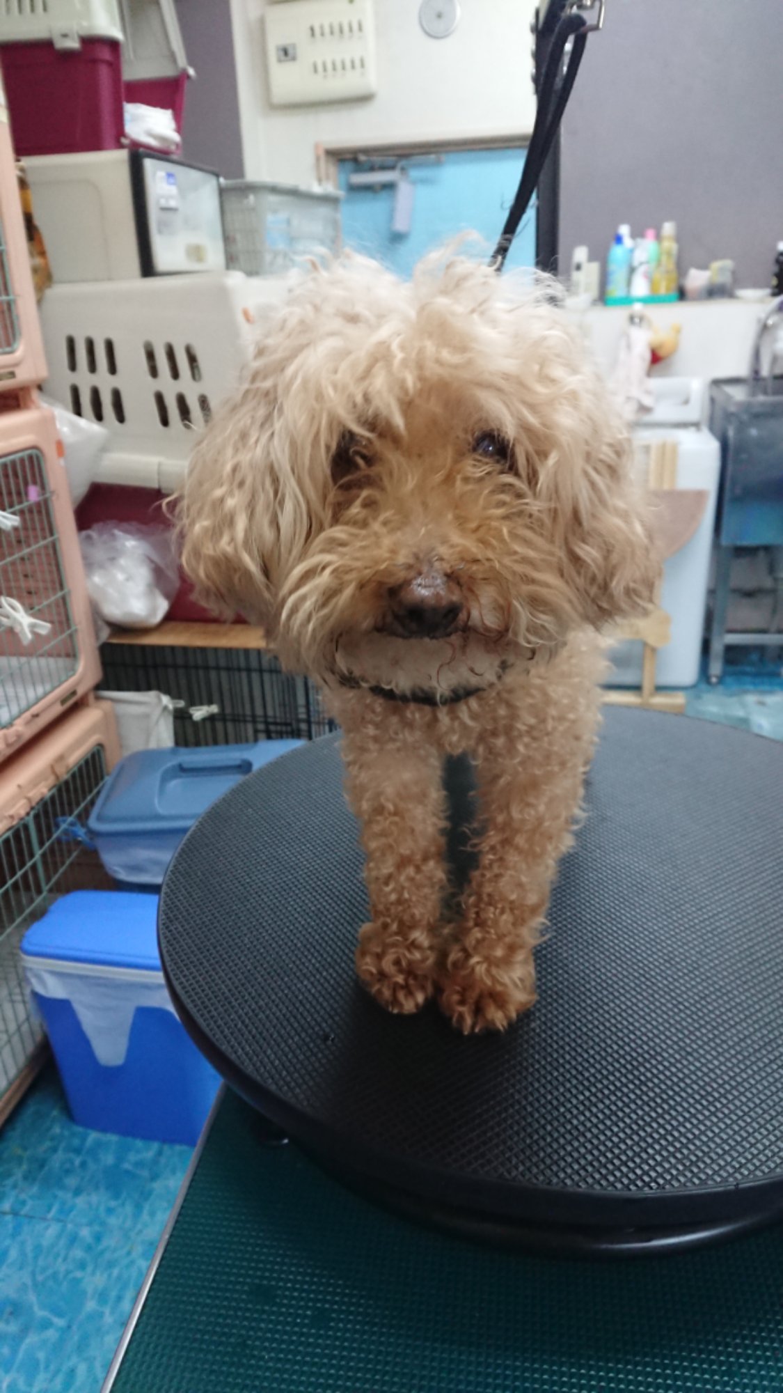 DSCPDC_0000_BURST20260321100928983.JPG image