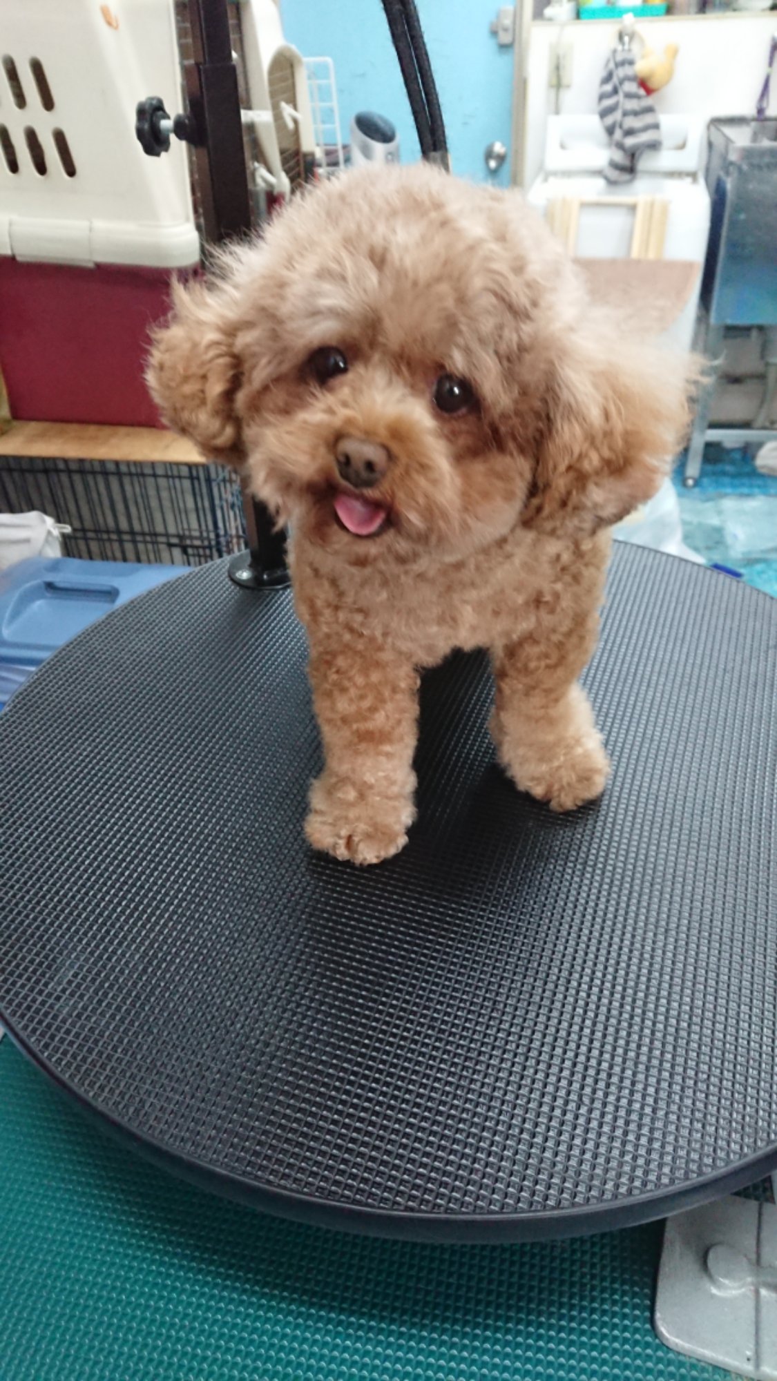 DSCPDC_0001_BURST20251029104614645.JPG image