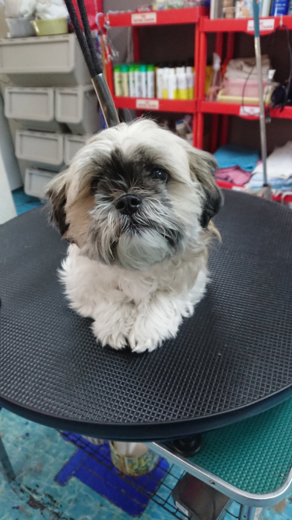 DSCPDC_0001_BURST20251119111847342_COVER.JPG image