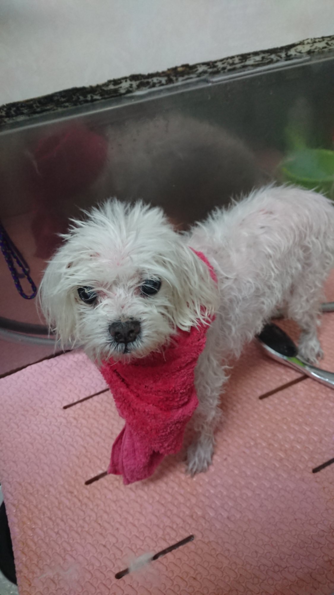 DSCPDC_0001_BURST20251202133216205.JPG image