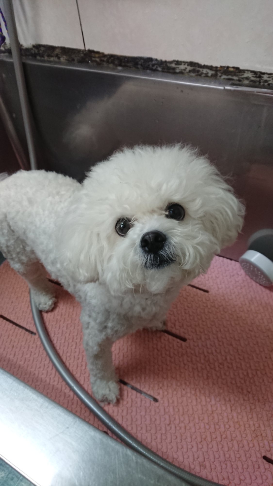 DSCPDC_0001_BURST20260118112751582.JPG image