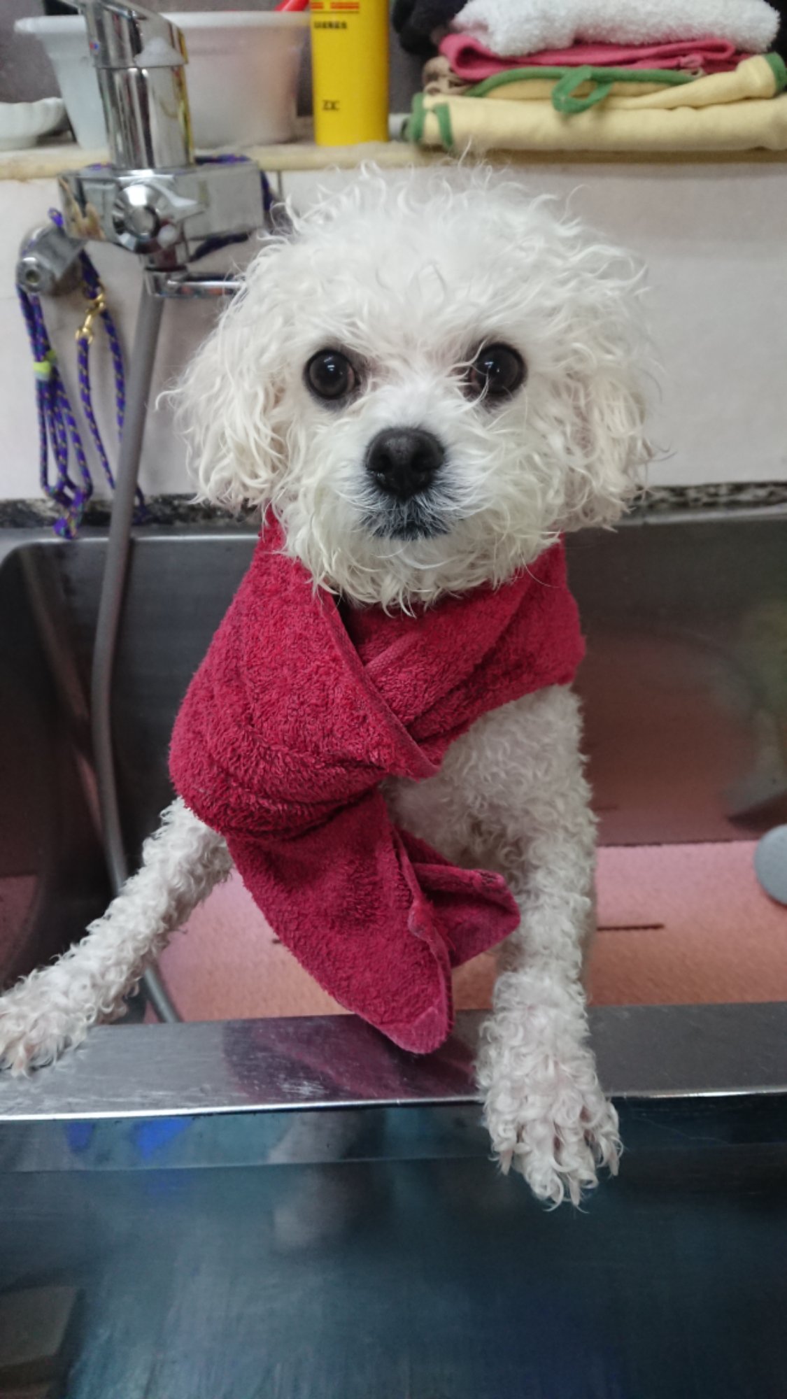 DSCPDC_0001_BURST20260118113618789_COVER.JPG image