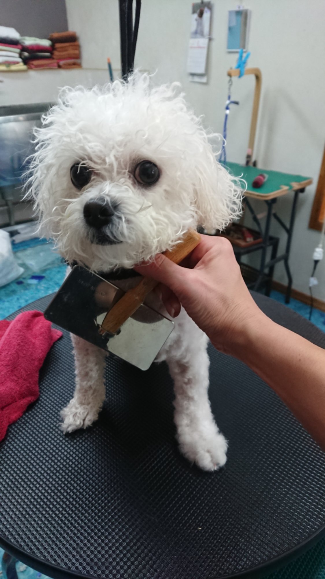 DSCPDC_0001_BURST20260118114654286.JPG image