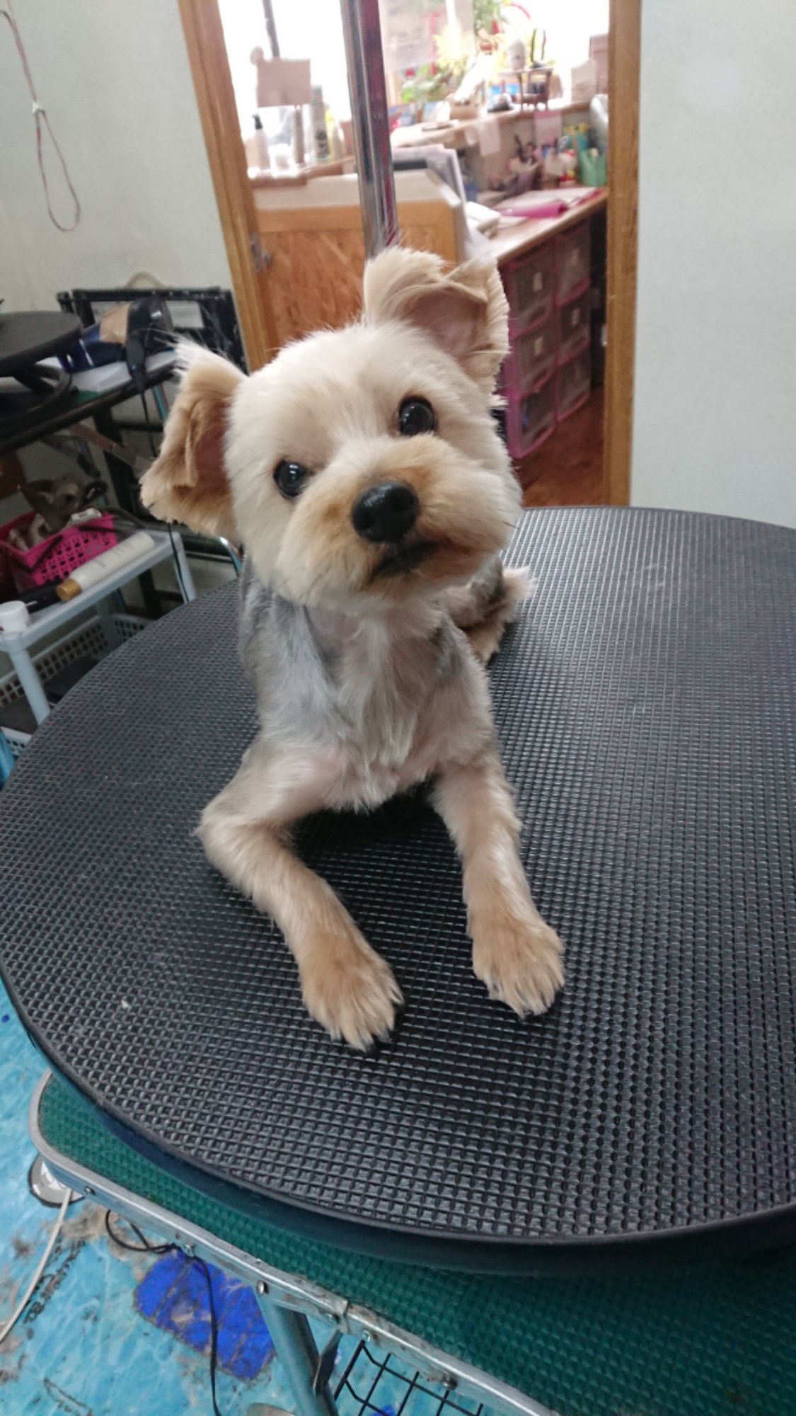 DSCPDC_0001_BURST20260216115632110_COVER.JPG image