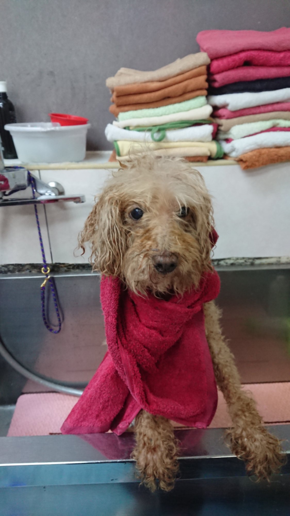 DSCPDC_0001_BURST20260321102615405_COVER.JPG image