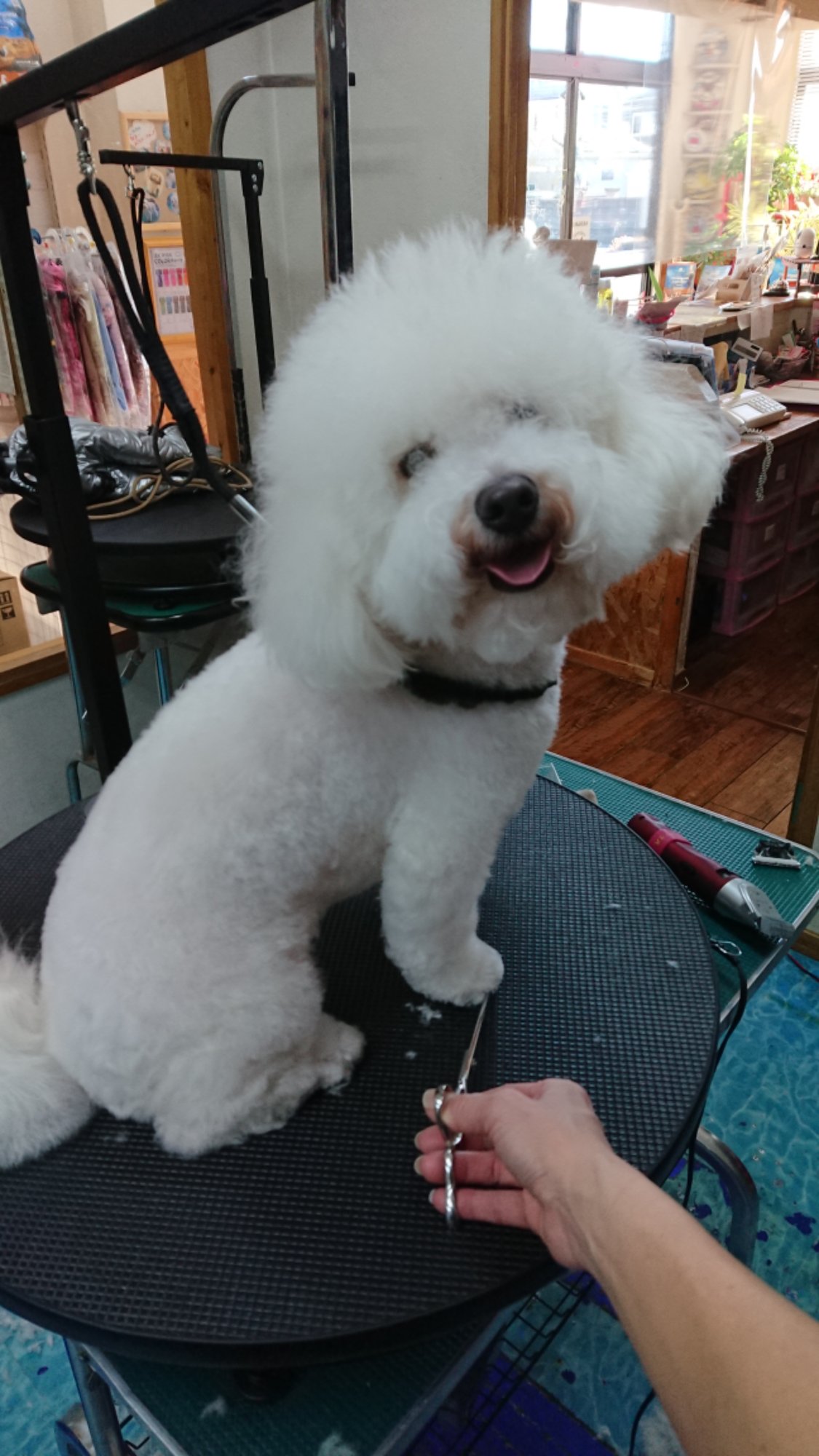 DSCPDC_0002_BURST20260203144015509_COVER.JPG image