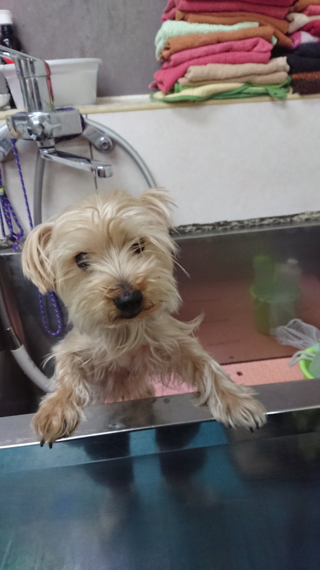 DSCPDC_0002_BURST20260216101857613.JPG image