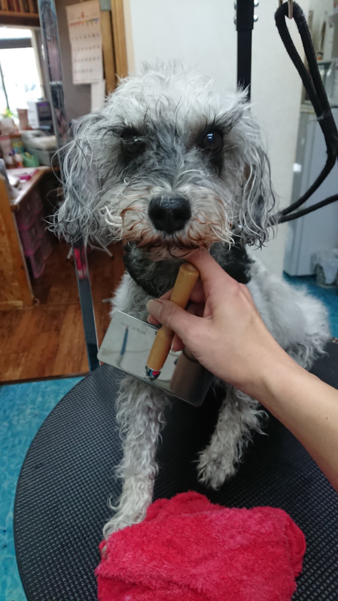 DSCPDC_0002_BURST20260401101811876_COVER.JPG image