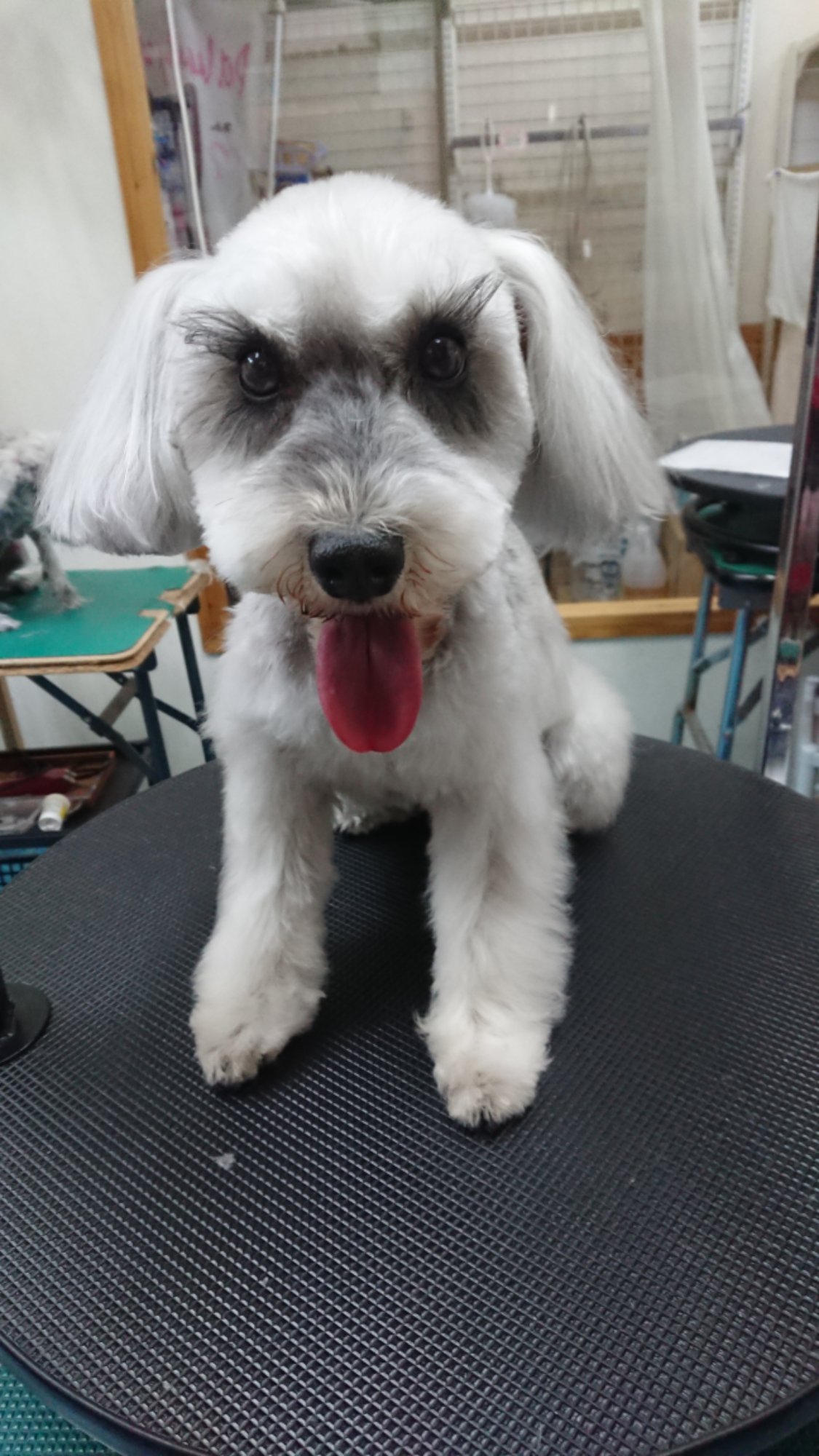 DSCPDC_0002_BURST20260401114131319.JPG image