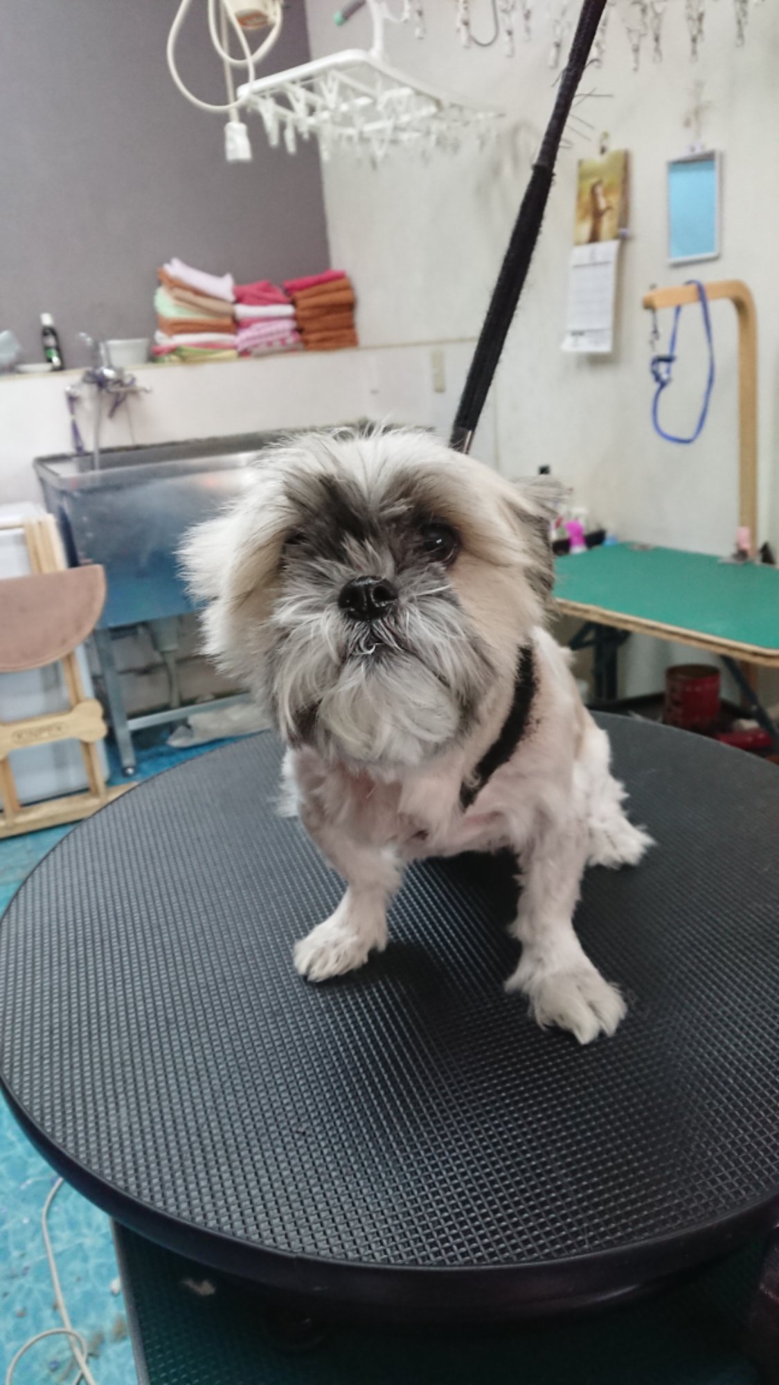 DSCPDC_0003_BURST20251119115551036_COVER.JPG image