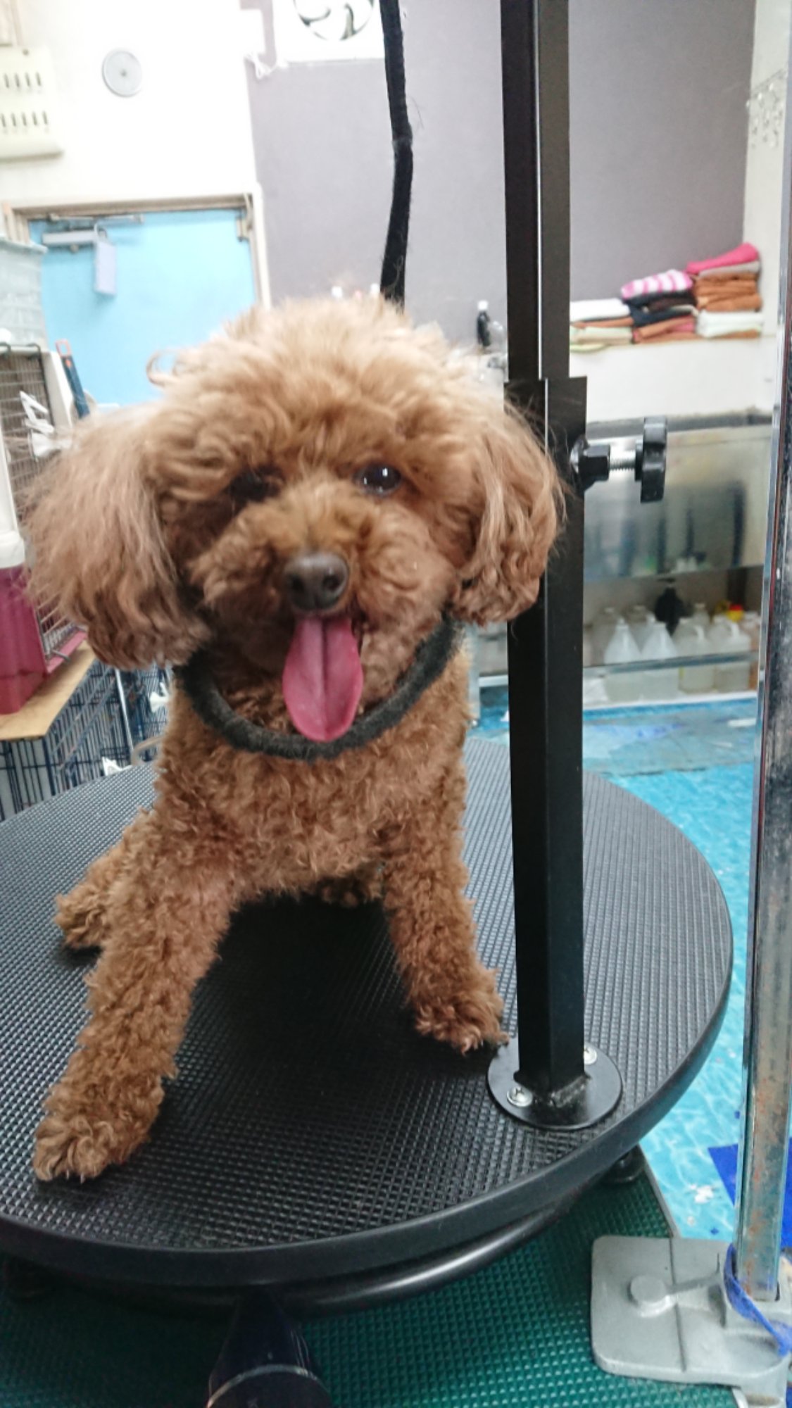 DSCPDC_0003_BURST20260127131055543_COVER.JPG image