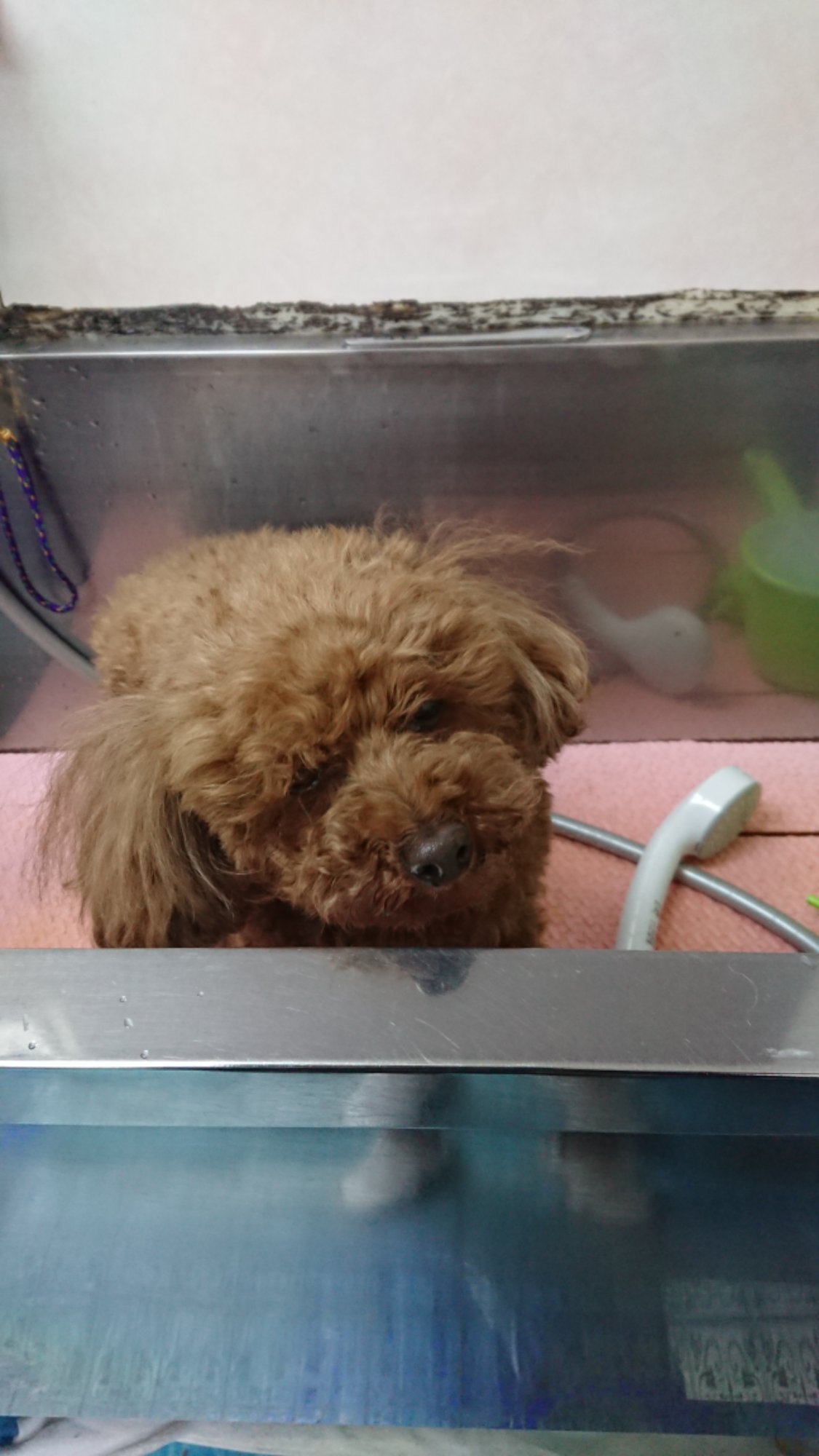 DSCPDC_0003_BURST20260127131245492_COVER.JPG image