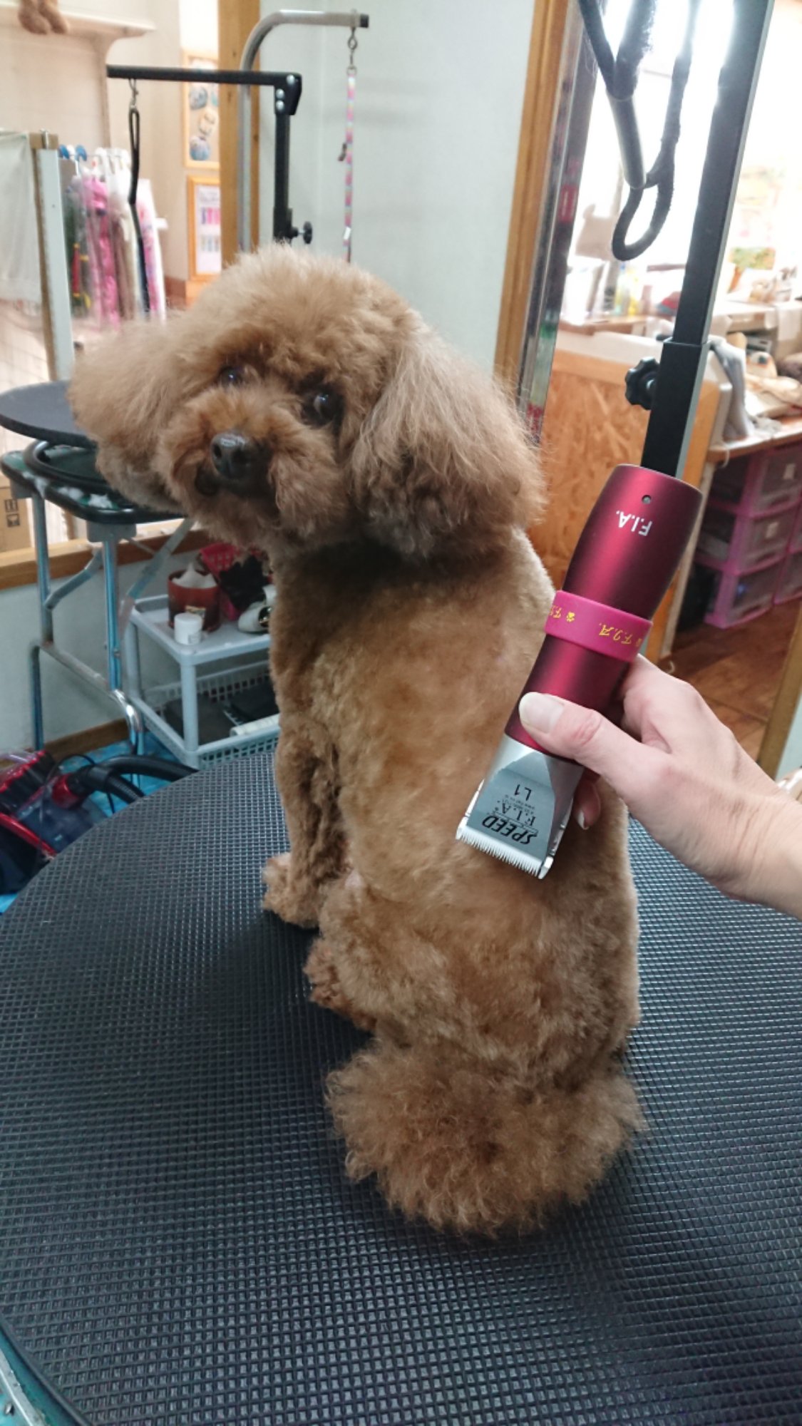 DSCPDC_0003_BURST20260127140231346_COVER.JPG image