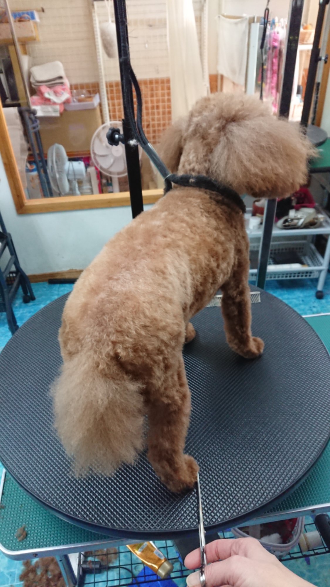 DSCPDC_0003_BURST20260127144131050_COVER.JPG image