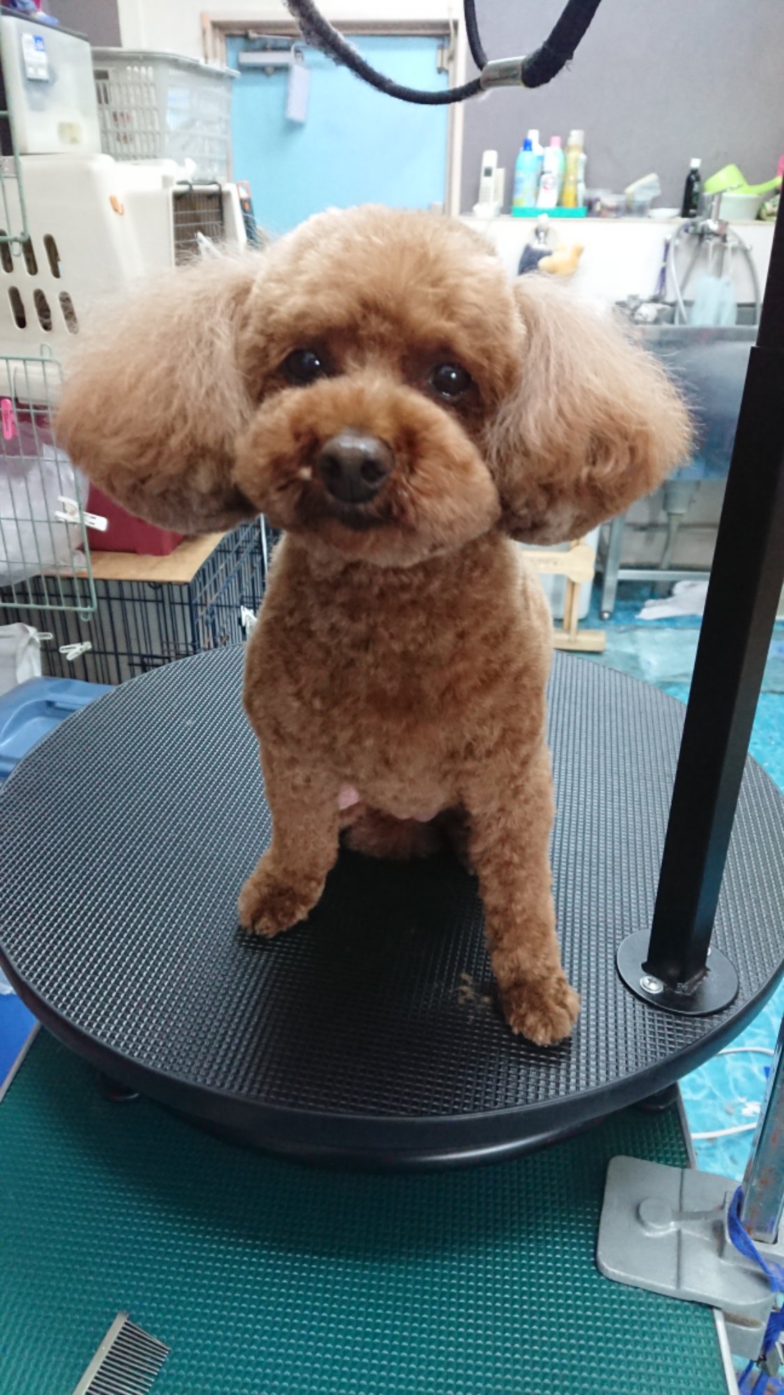 DSCPDC_0003_BURST20260127150724894_COVER.JPG image