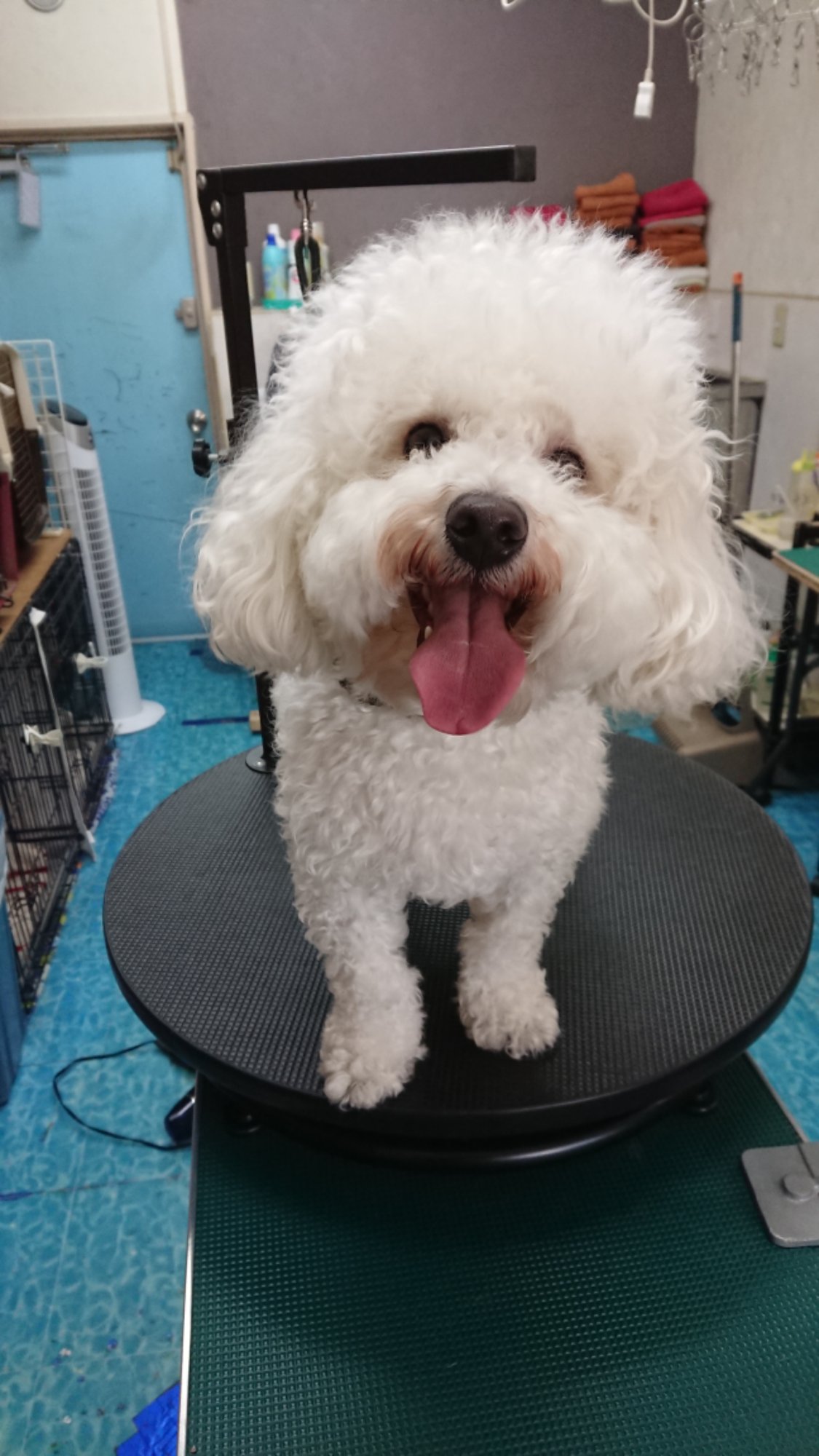 DSCPDC_0003_BURST20260203125750005_COVER.JPG image