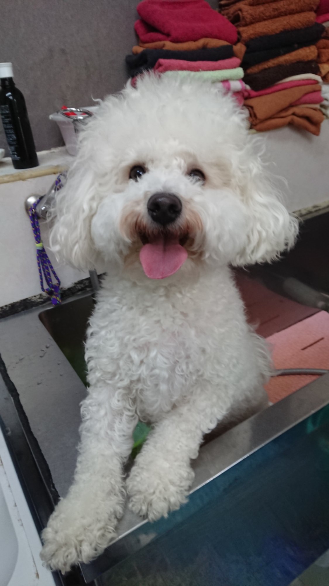 DSCPDC_0003_BURST20260203125855380_COVER.JPG image