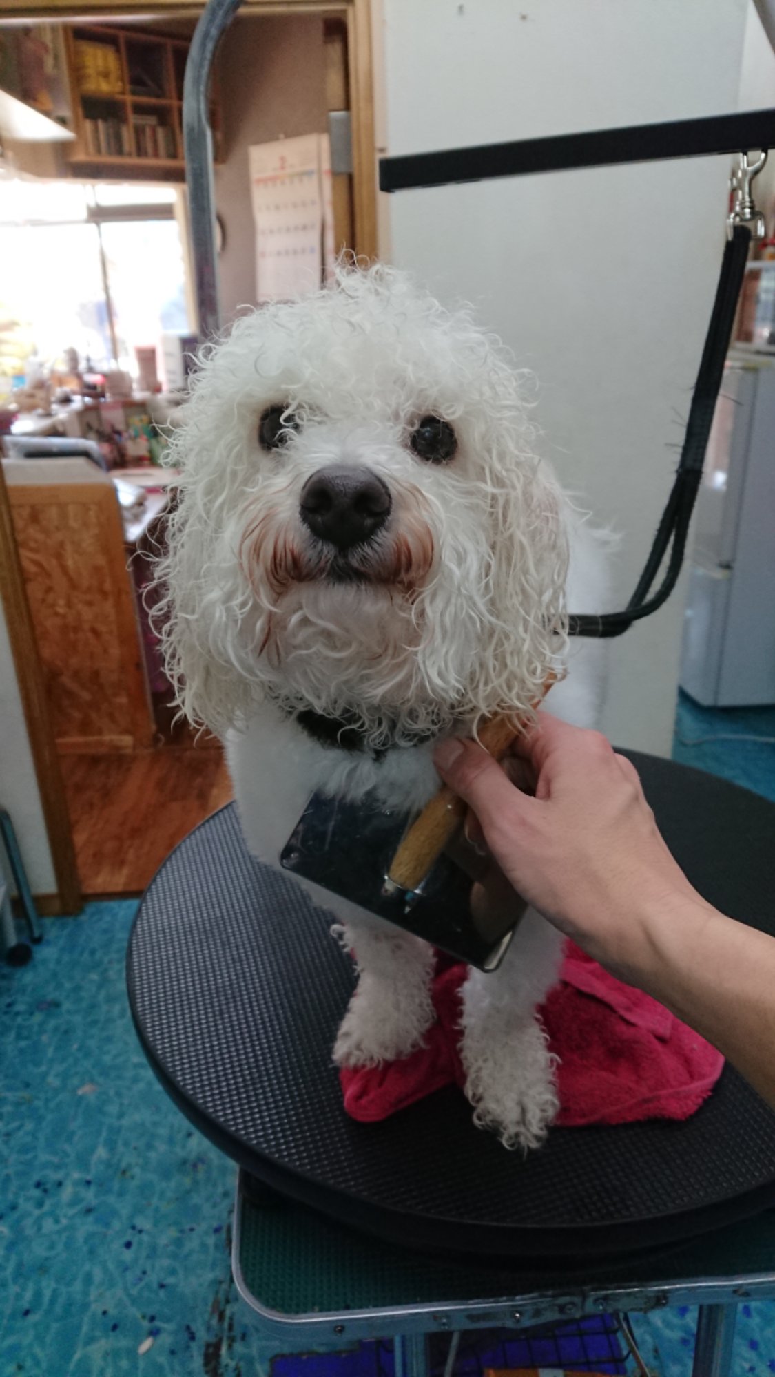 DSCPDC_0003_BURST20260203132628880_COVER.JPG image