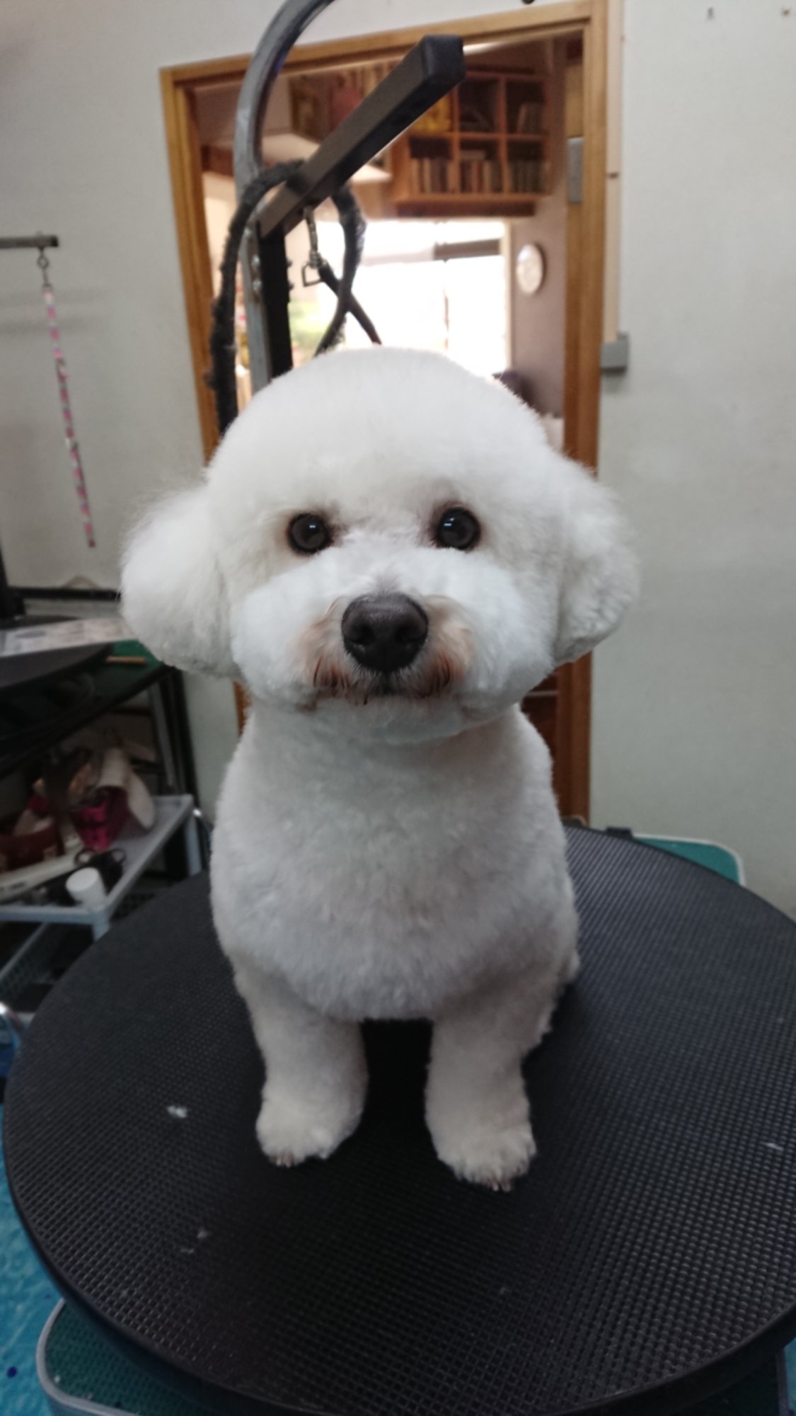 DSCPDC_0003_BURST20260203153738746_COVER.JPG image