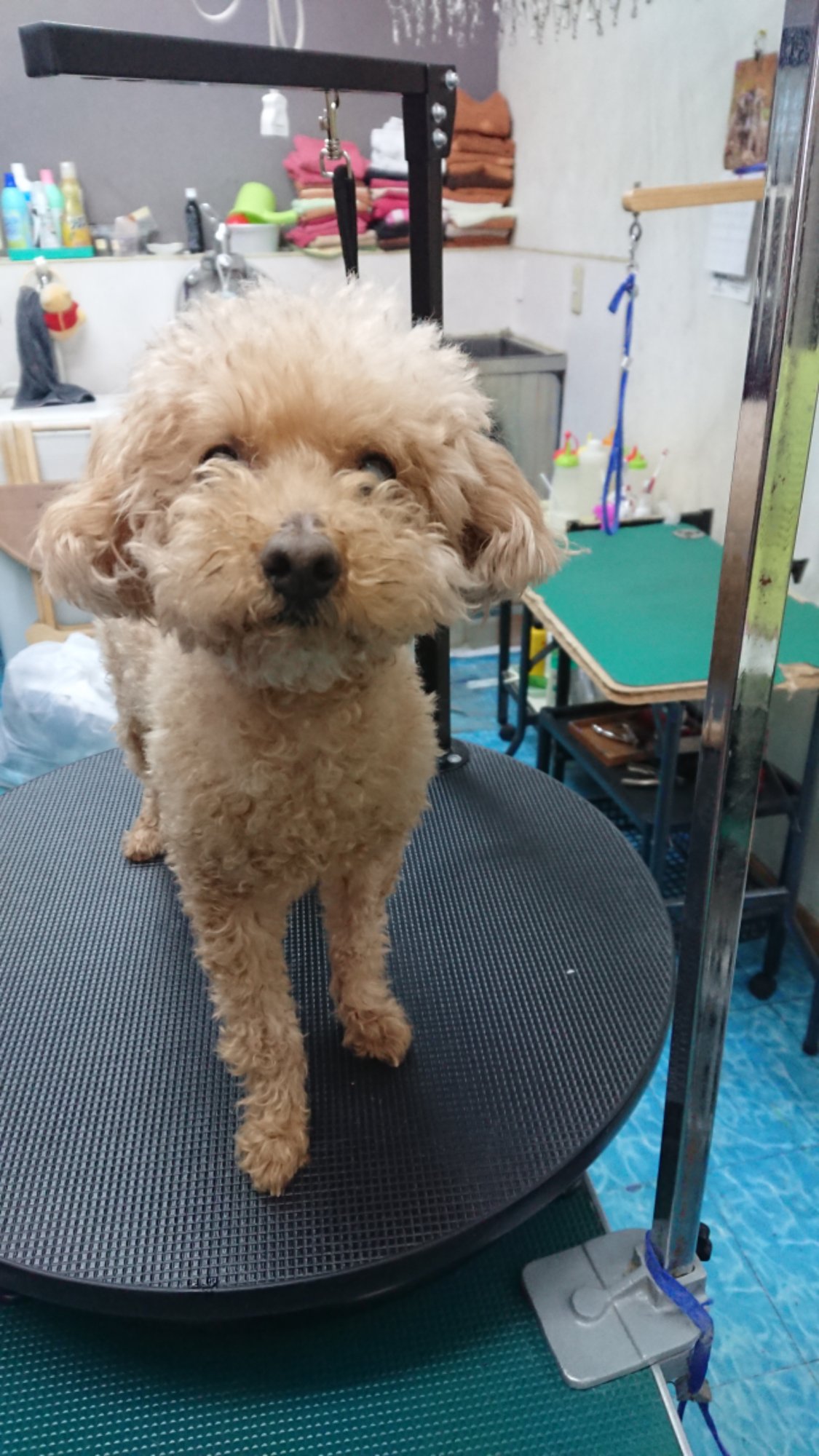 DSCPDC_0003_BURST20260208101736235_COVER.JPG image