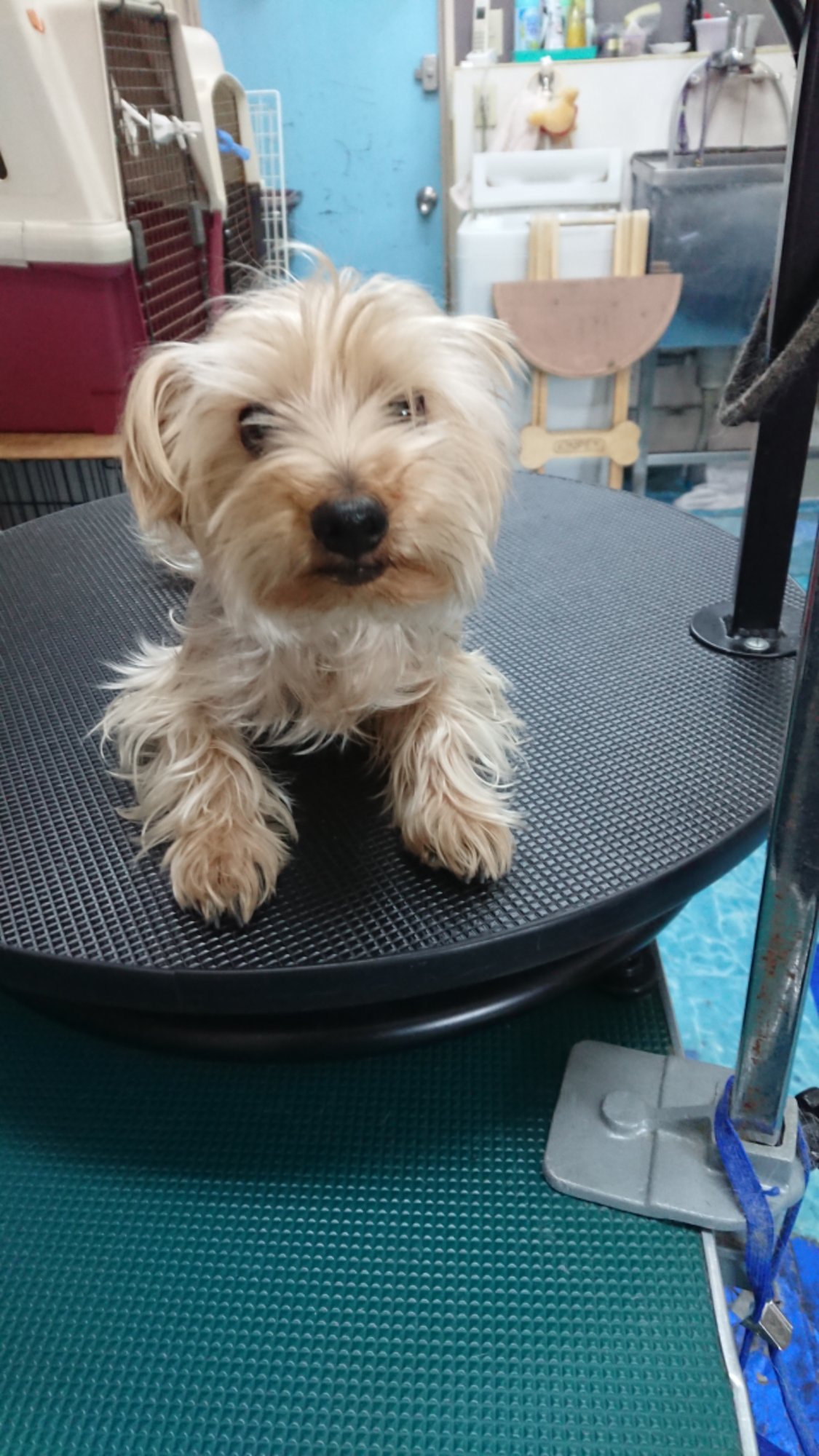 DSCPDC_0003_BURST20260216101437251_COVER.JPG image