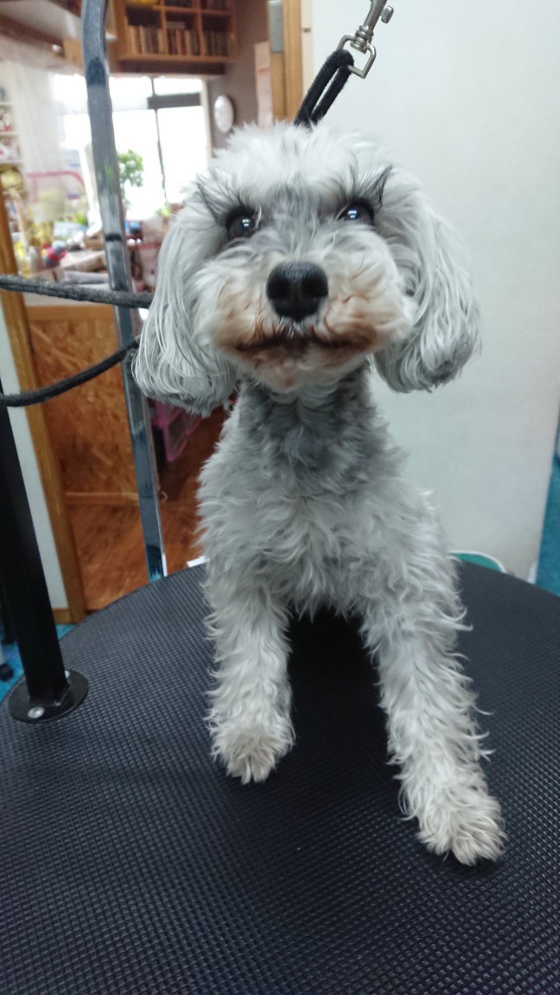 DSCPDC_0003_BURST20260401100221171_COVER.JPG image