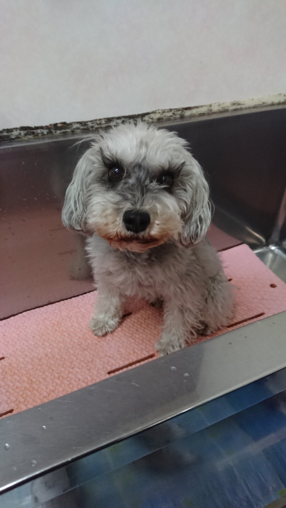 DSCPDC_0003_BURST20260401100241922_COVER.JPG image