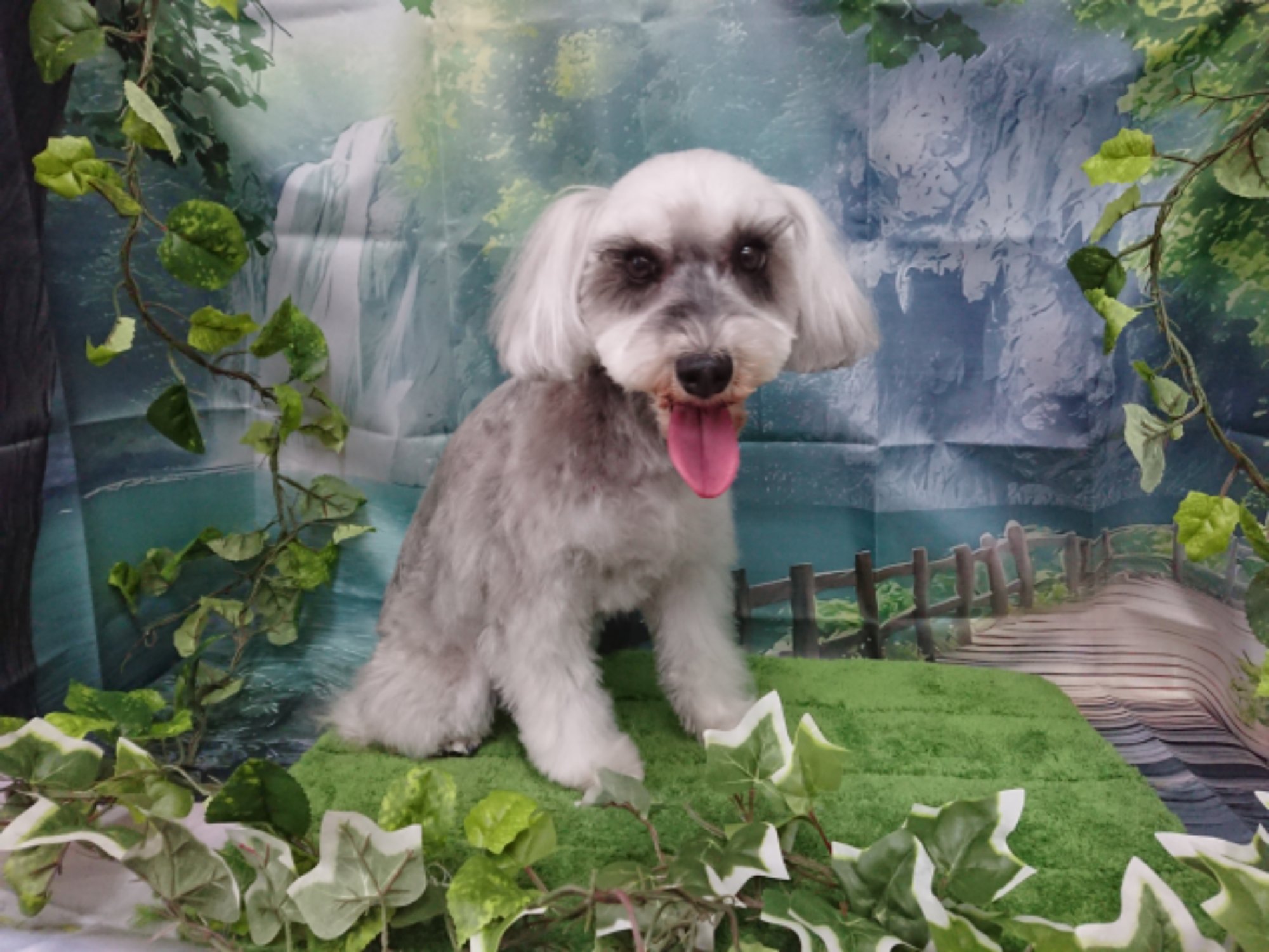 DSCPDC_0003_BURST20260401114254655_COVER.JPG image