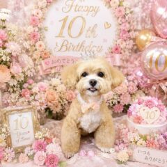 るなちゃん10歳