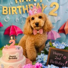 ハッピー君２歳